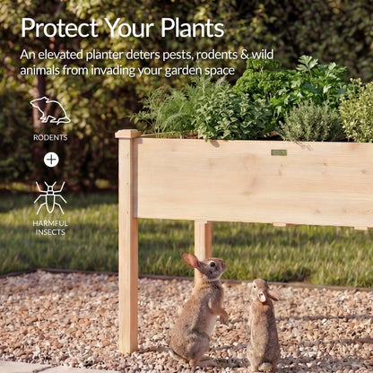 Raised Garden Bed Planter Box with 10 Grid Sections